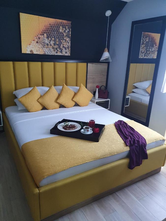 Dream House & Kolasin